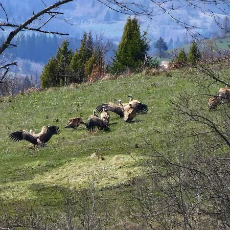 Holiday home Imanje Mir *