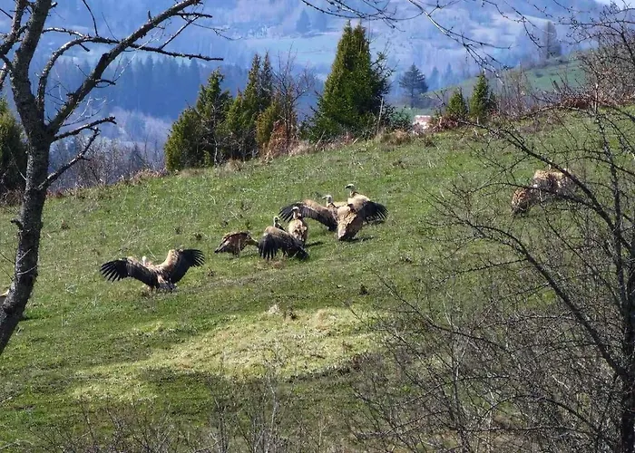 度假居 Imanje Mir *