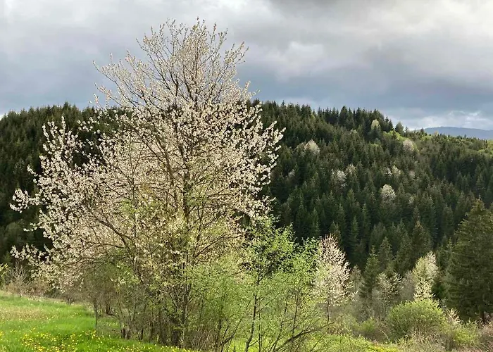 Imanje Mir 度假居