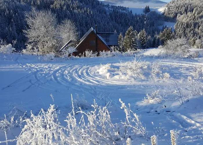 Imanje Mir 度假居