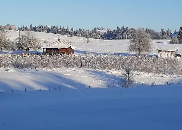 Imanje Mir 度假居 Nova Varoš